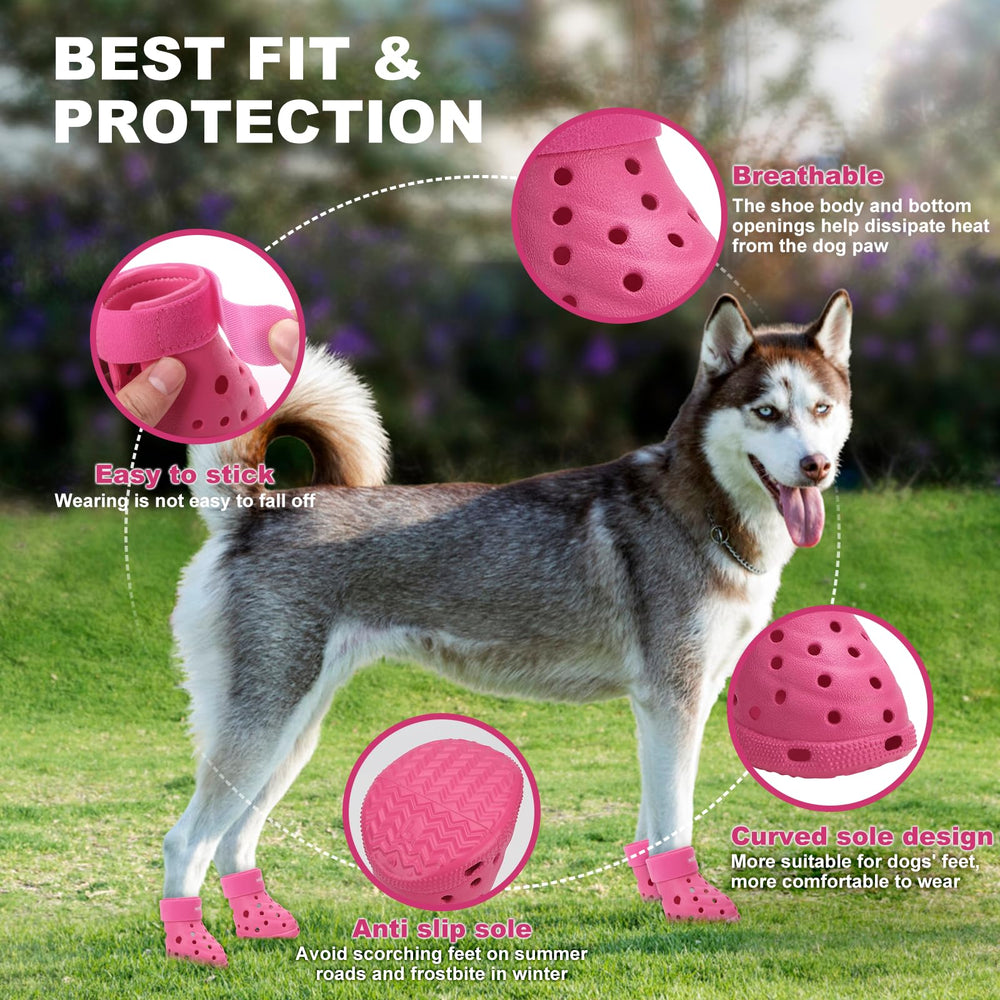 Wooftrak comparaison taille avec patte de chien pour choix précis