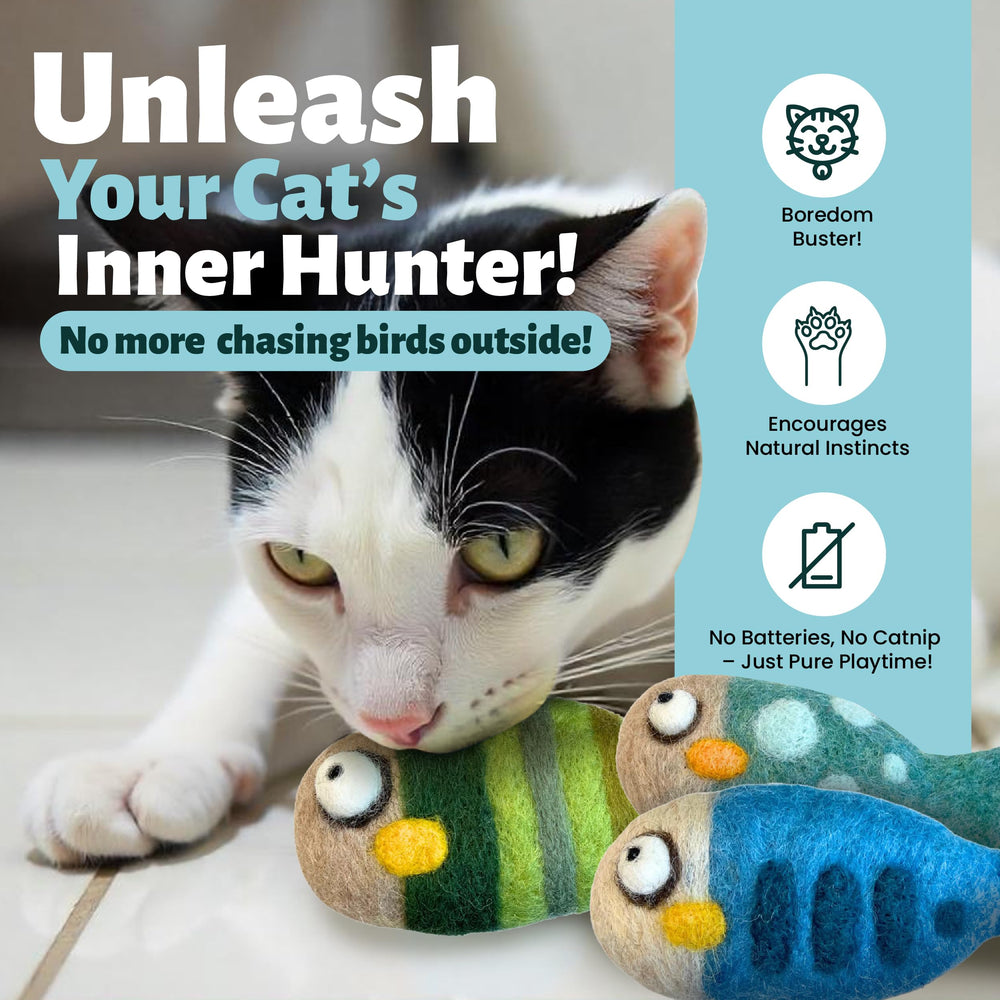 Chat jouant avec Woolbuddy poisson, stimule exercice et chasse