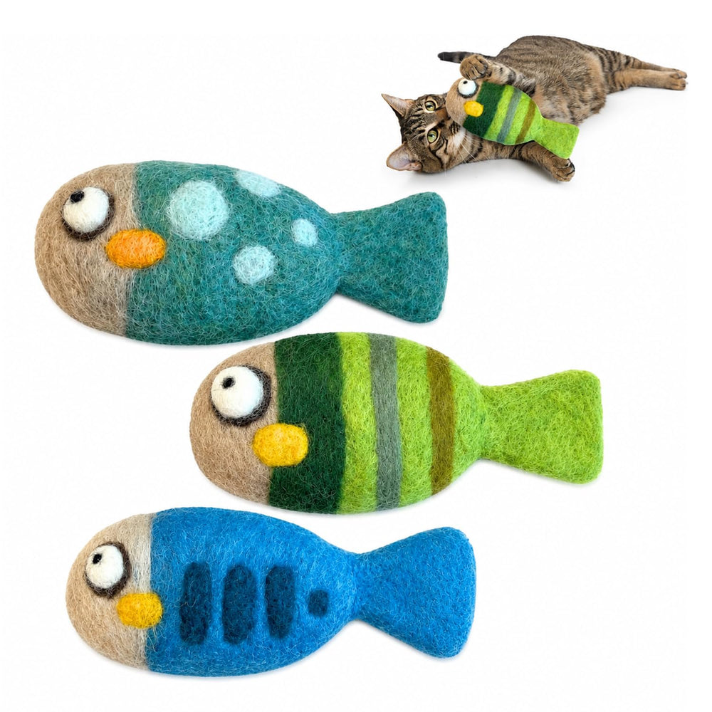 Woolbuddy emballage avant du lot de trois poissons, attrait visuel sûr