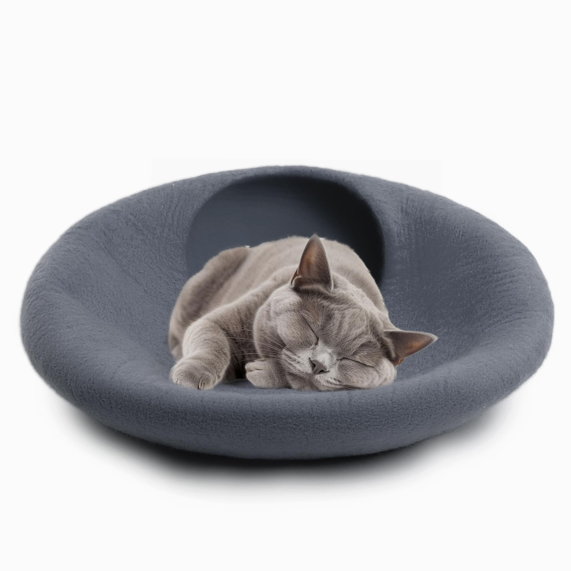 Woolygon chat dans grotte illustrant sécurité et relaxation