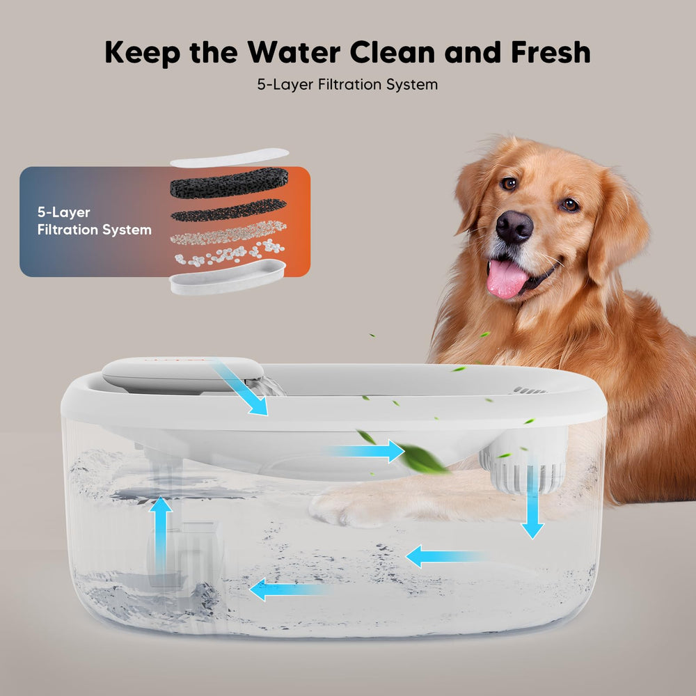 WOPET fontaine en contexte domestique, idéale pour foyers multi-animaux