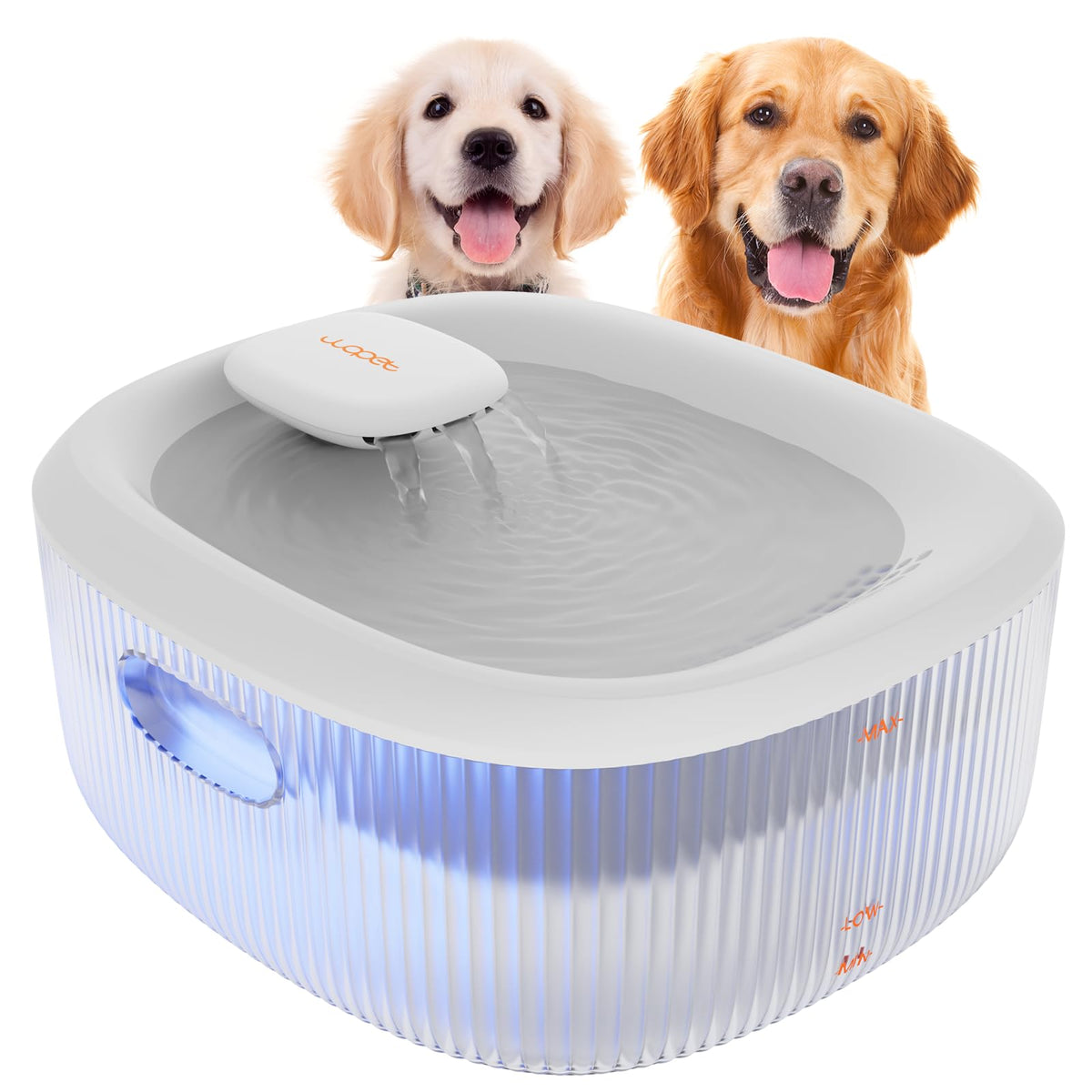 WOPET vue de face montrant design et capacité, hydratation pratique
