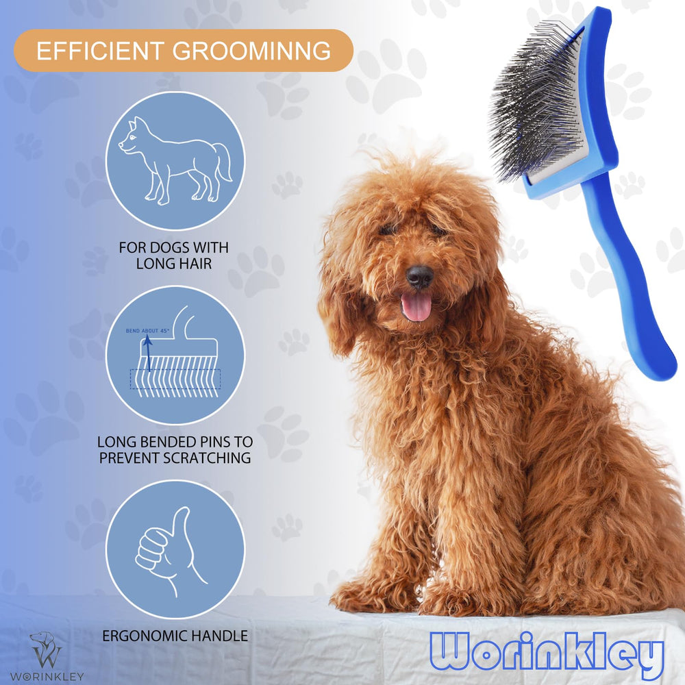 Worinkley brosse en action démêlant un Goldendoodle rapidement