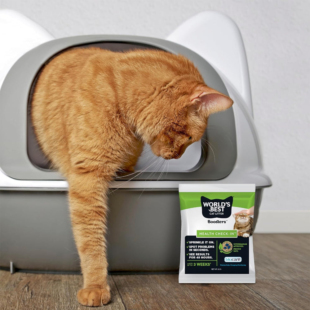 World's Best Cat Litter scène de vie montrant chat utilisant bac et surveillance discrète