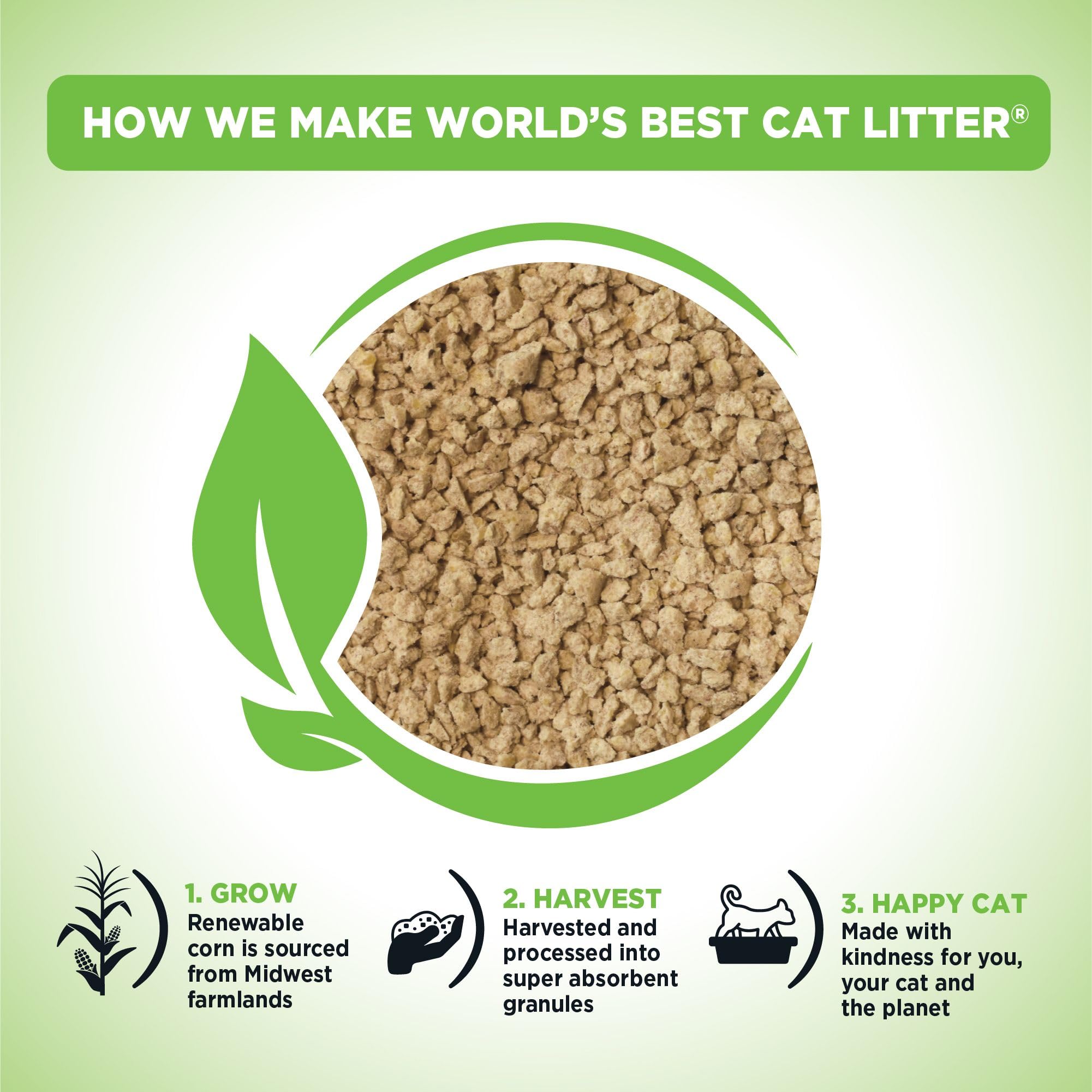 World's Best Cat Litter gros plan sur la texture de maïs, absorption visible