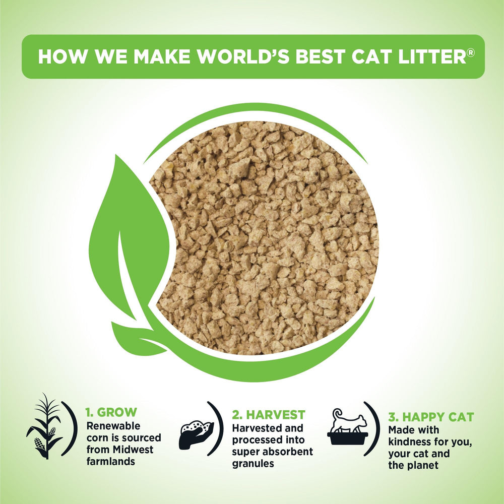 World's Best Cat Litter gros plan sur la texture de maïs, absorption visible