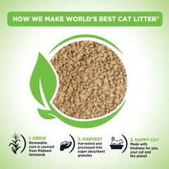 World's Best Cat Litter gros plan sur la texture de maïs, absorption visible