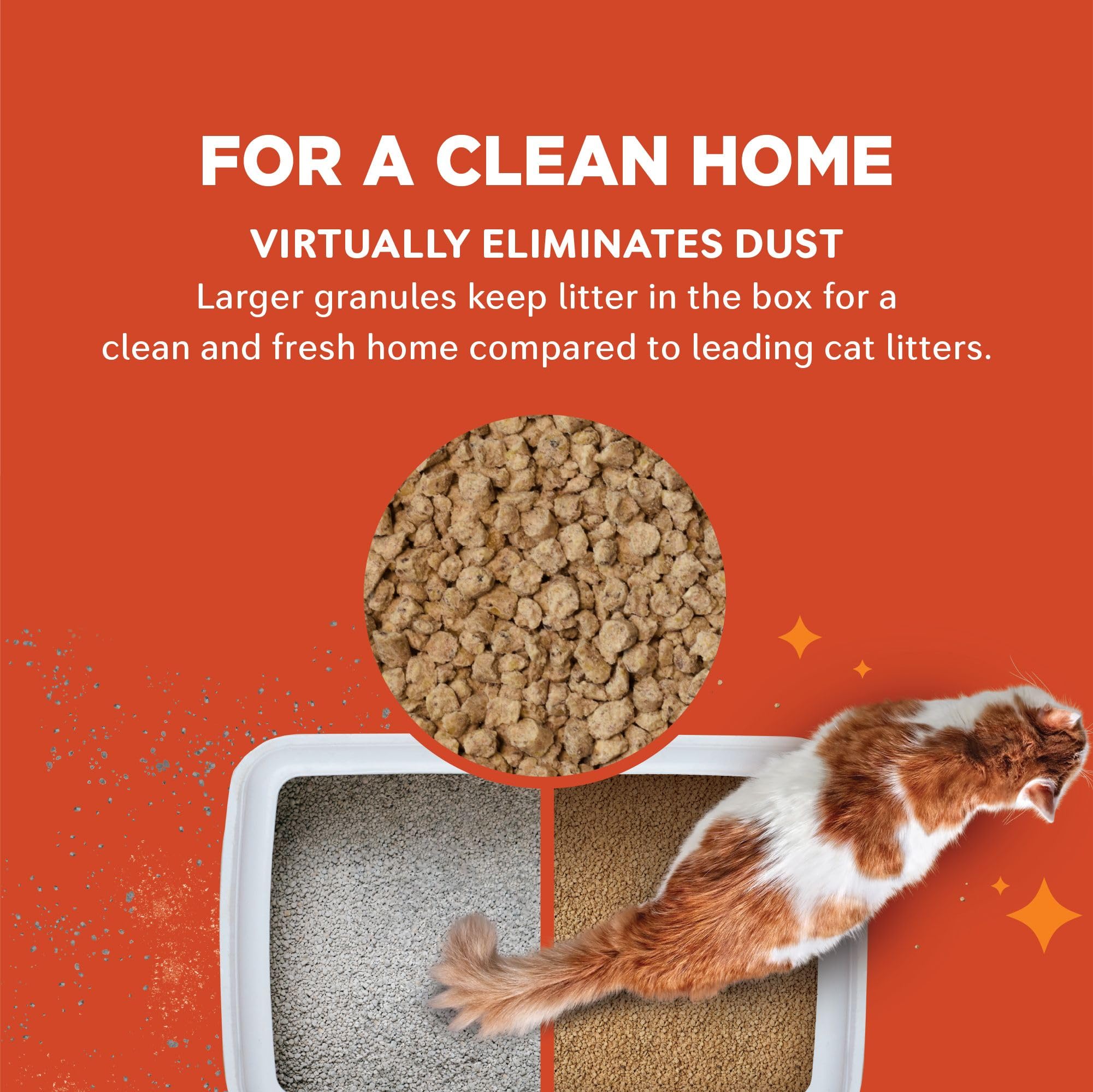 World's Best Cat Litter étiquette produit affichant ingrédients naturels et sécurité