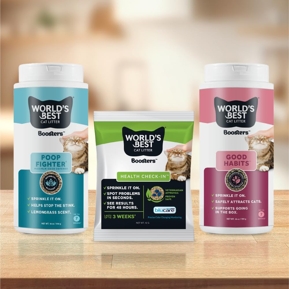 World's Best Cat Litter scène avec chat près du bac illustrant confort domestique et air plus propre