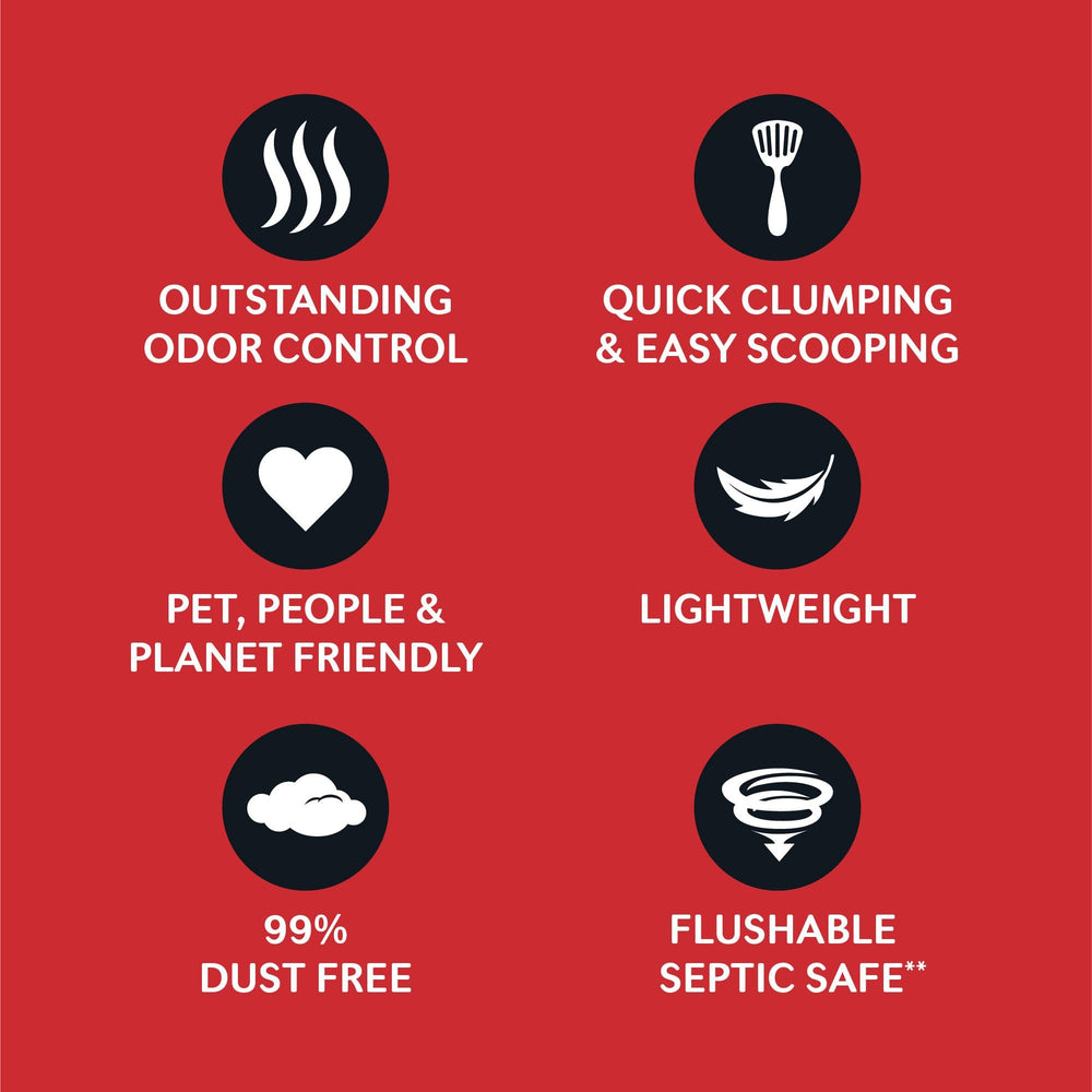 World's Best Cat Litter versée dans un bac, montre utilisation simple et rapide