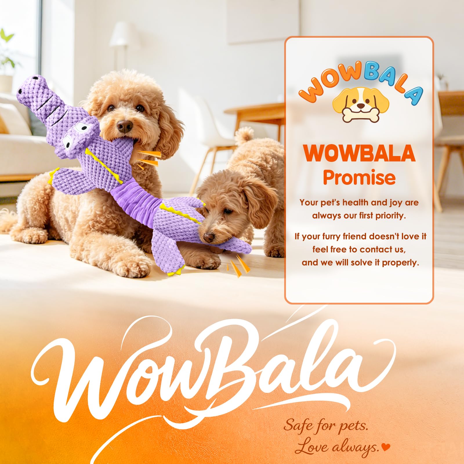 WOWBALA emballage cadeau idée pour anniversaire ou adoption chien