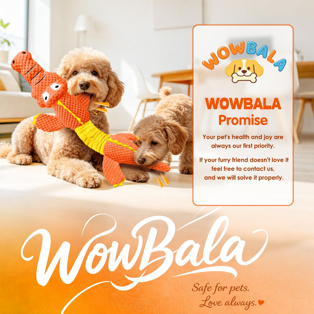 WOWBALA mise en scène cadeau idéal pour anniversaire chien