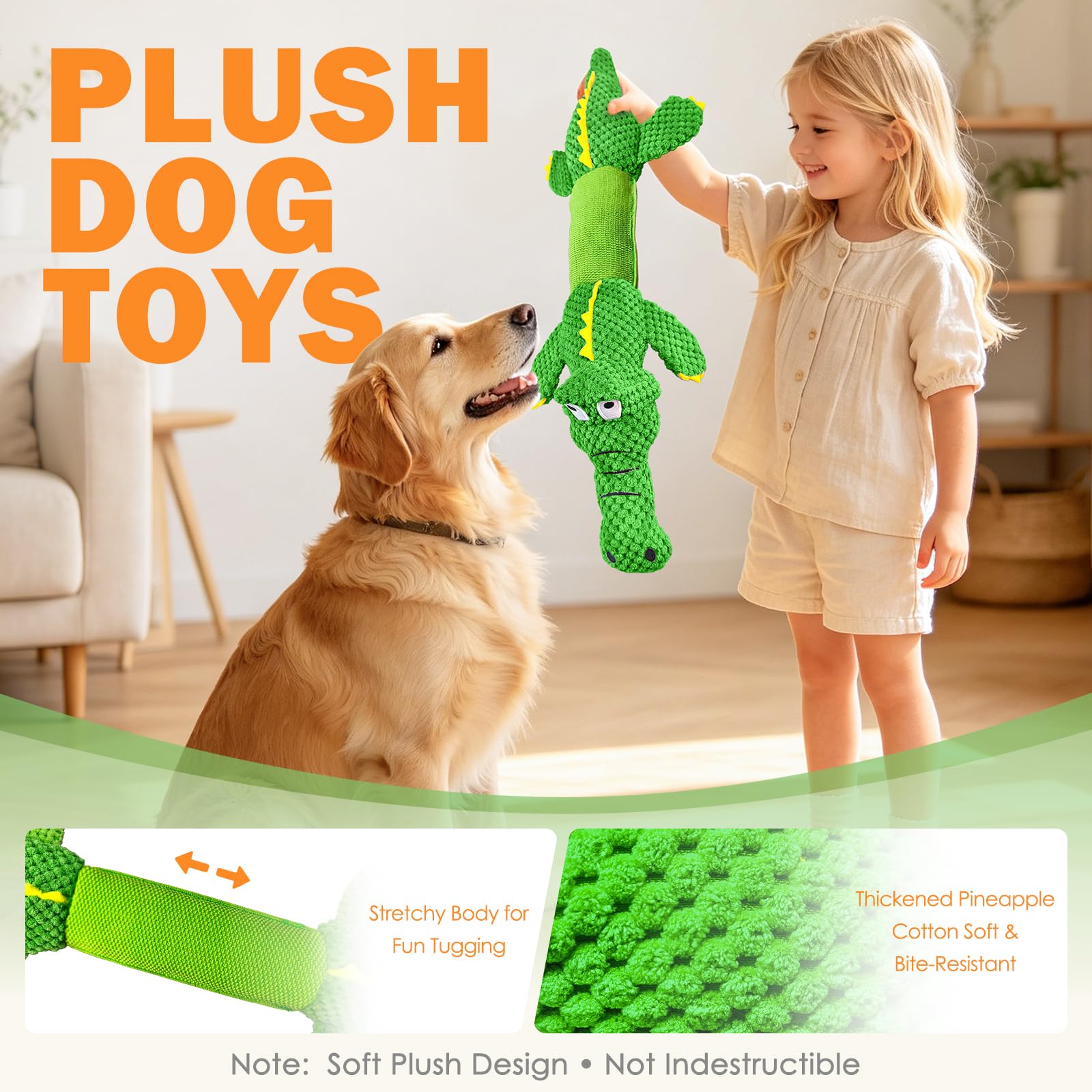 WOWBALA chien tirant le crocodile pour renforcer lien et exercice