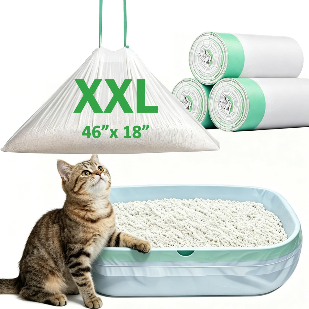 WOWSOLID emballage avant montrant 51 sacs pour économie