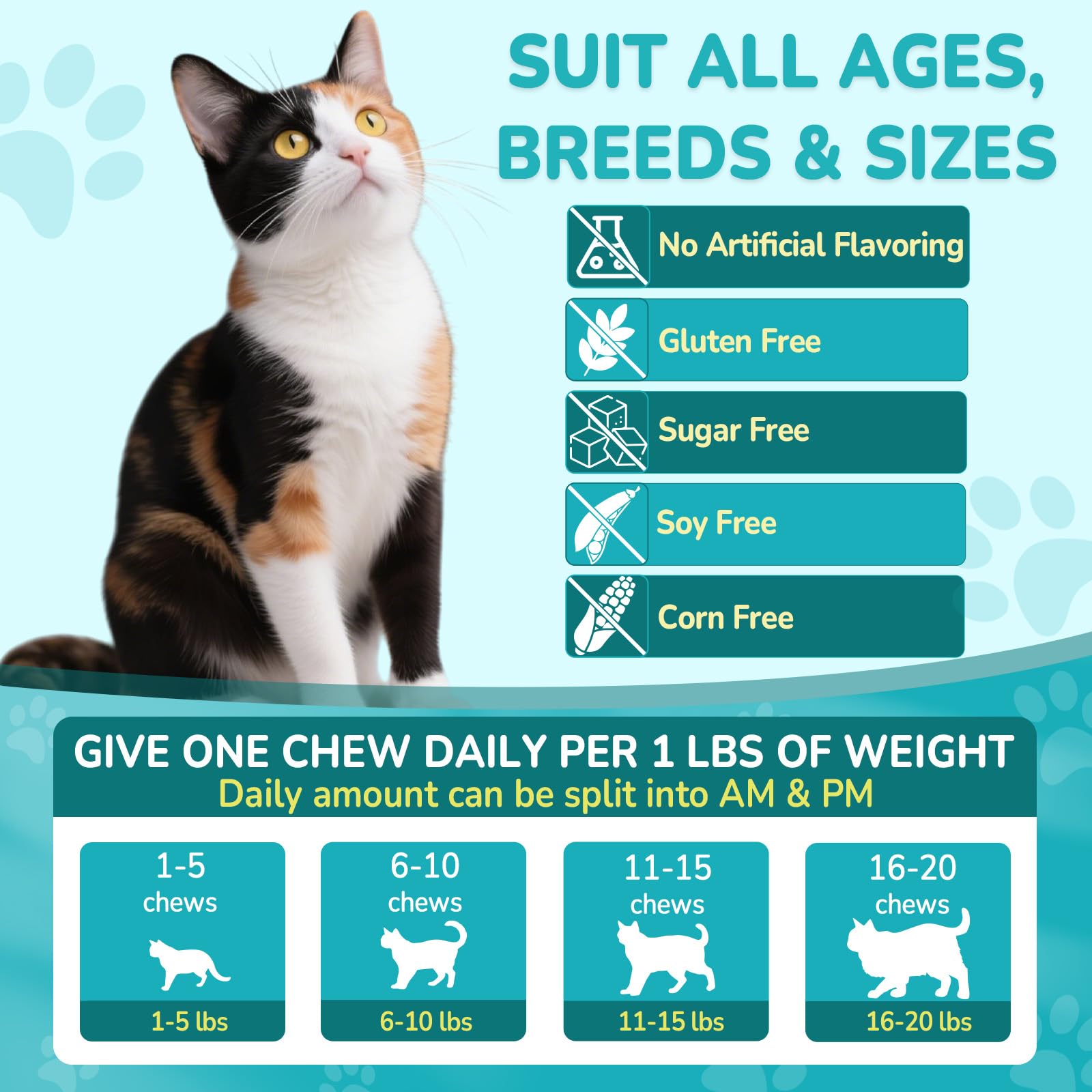 Woyamay chat mange friandise montrant appétence chez chats difficiles