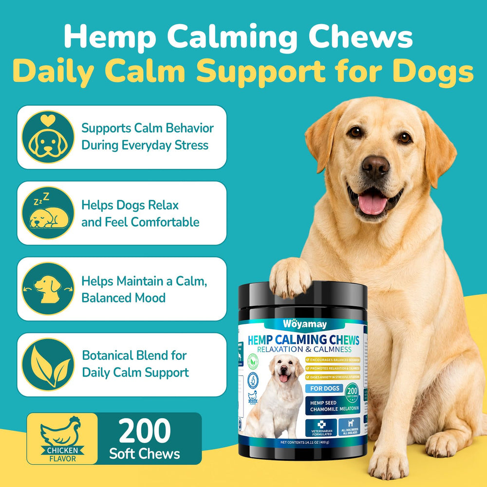 Woyamay gros plan texture des chews, moelleux et appétents pour chien