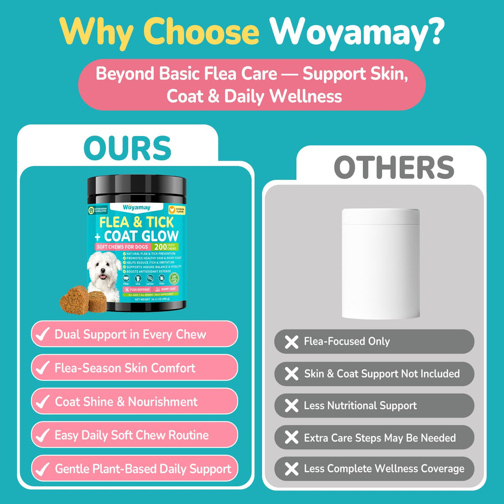 Chien acceptant une friandise Woyamay, bénéfice plaisir et conformité