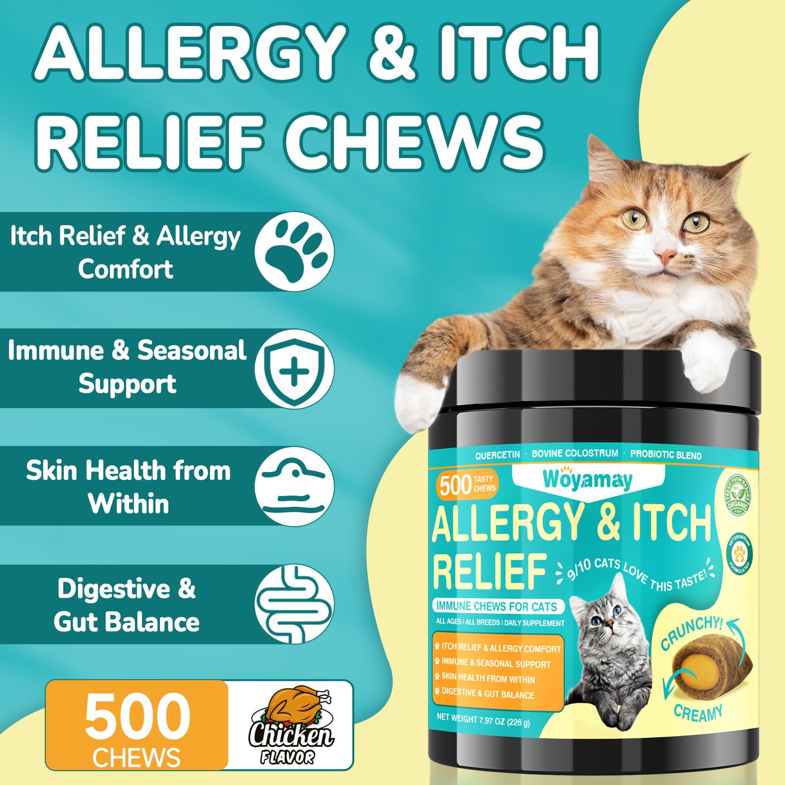 Woyamay friandise gros plan montrant croustillant et attrait pour le chat