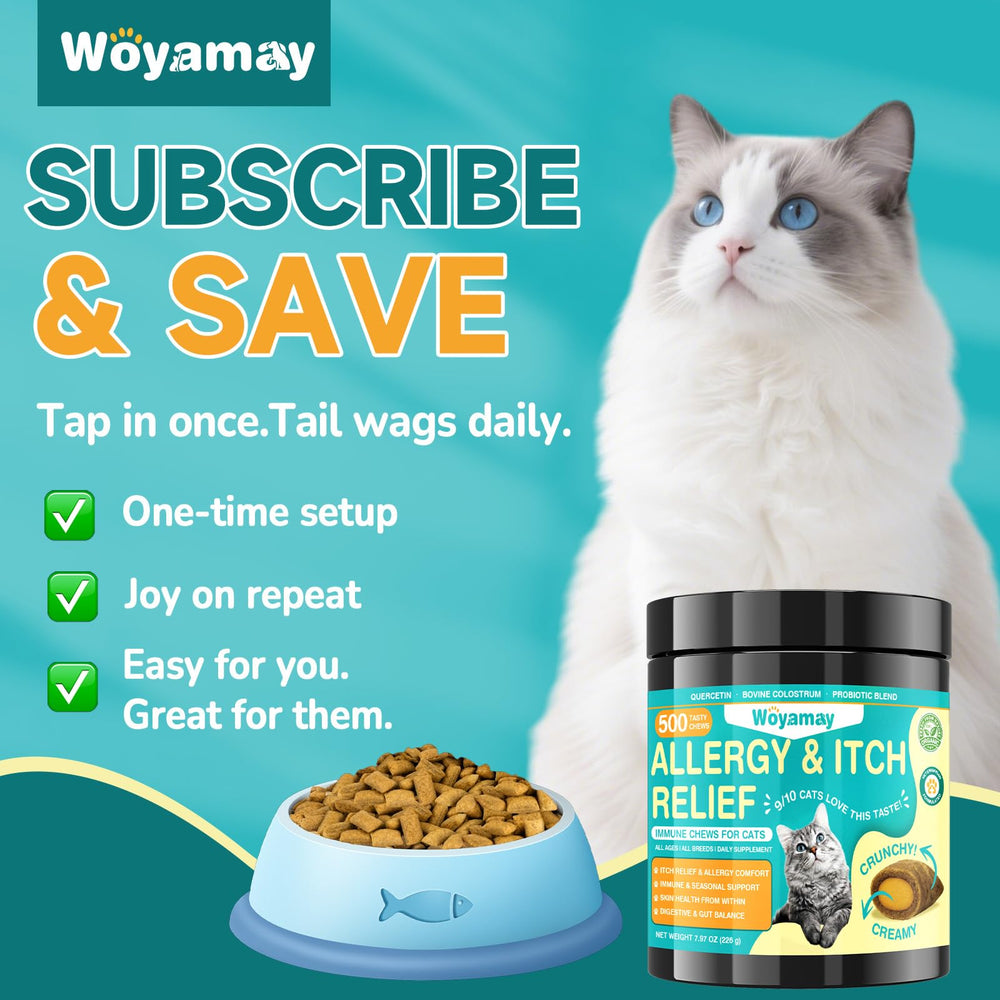 Woyamay scène de vie canapé chat apaisé montrant confort quotidien