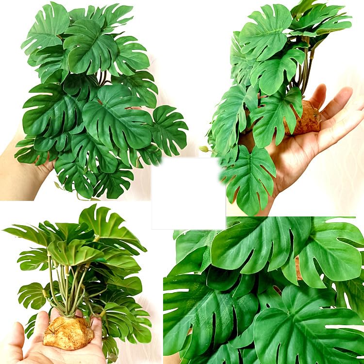 Woyrise plante sous lampe démontrant stabilité et résistance à la chaleur