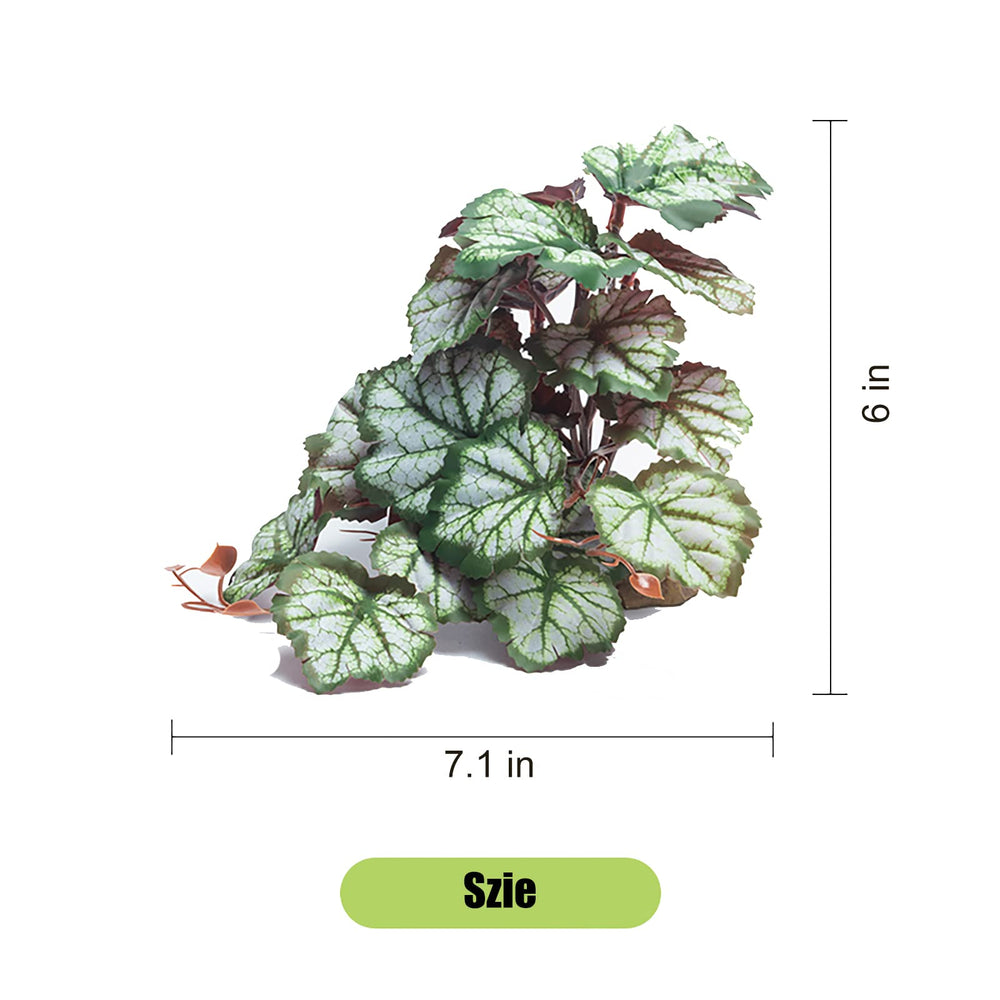 Woyrise plante en usage avec gecko offrant surfaces d'escalade
