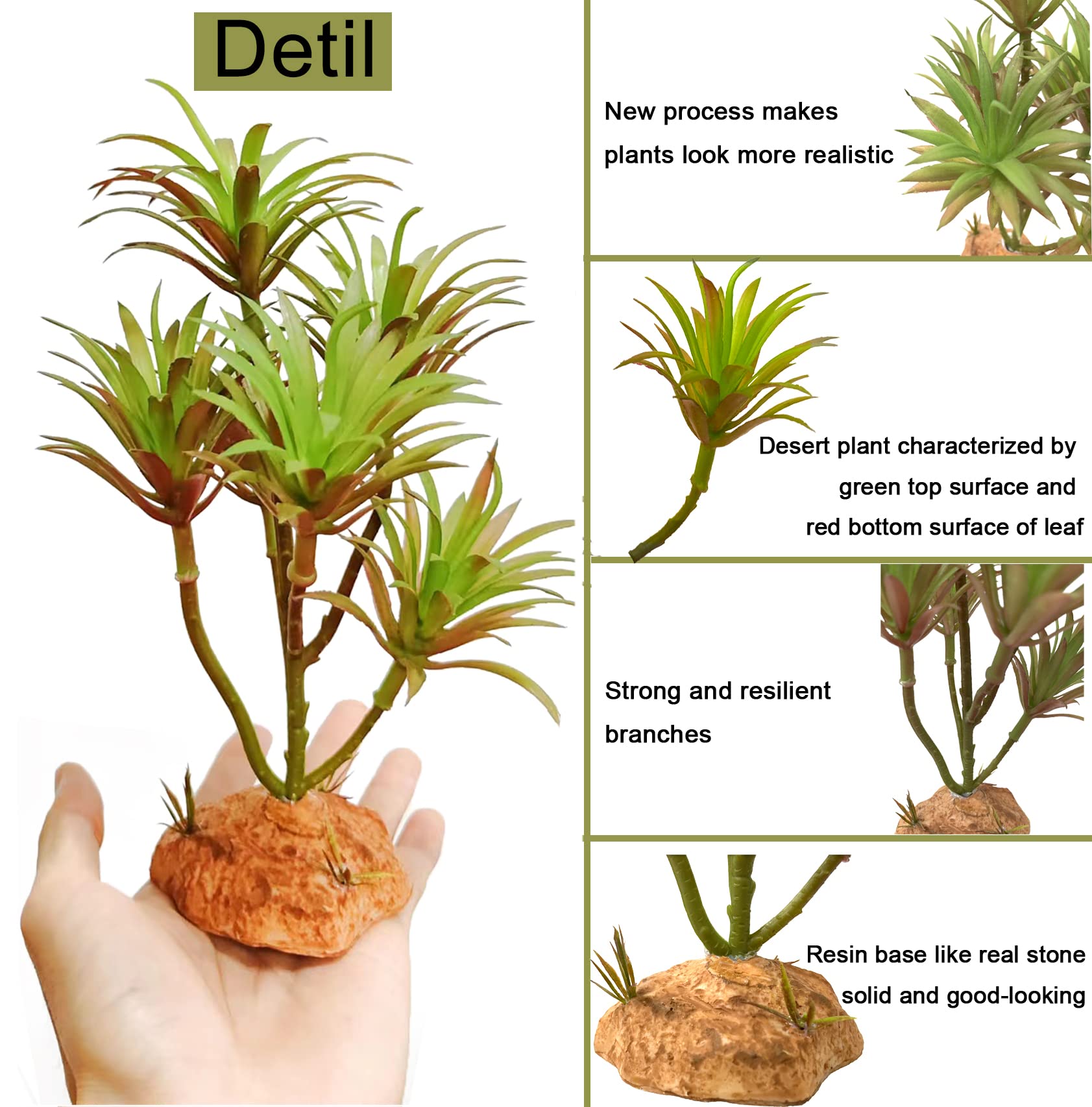 Woyrise comparaison taille montre adaptation aux terrariums
