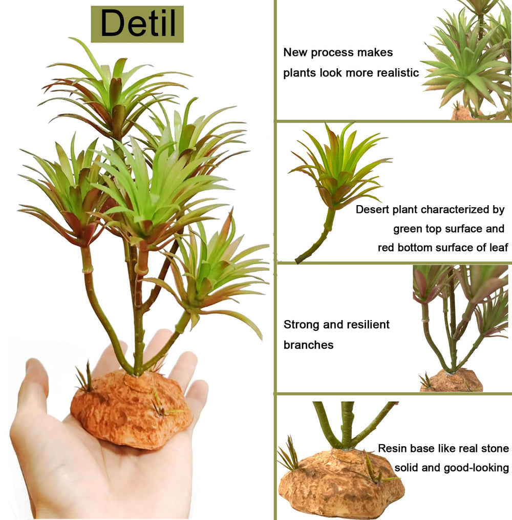 Woyrise comparaison taille montre adaptation aux terrariums