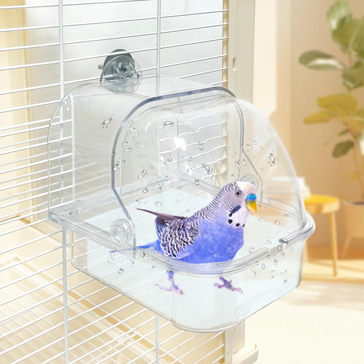 WQY GroceryShop bain d'oiseau face avant montrant la transparence et l'accès facile