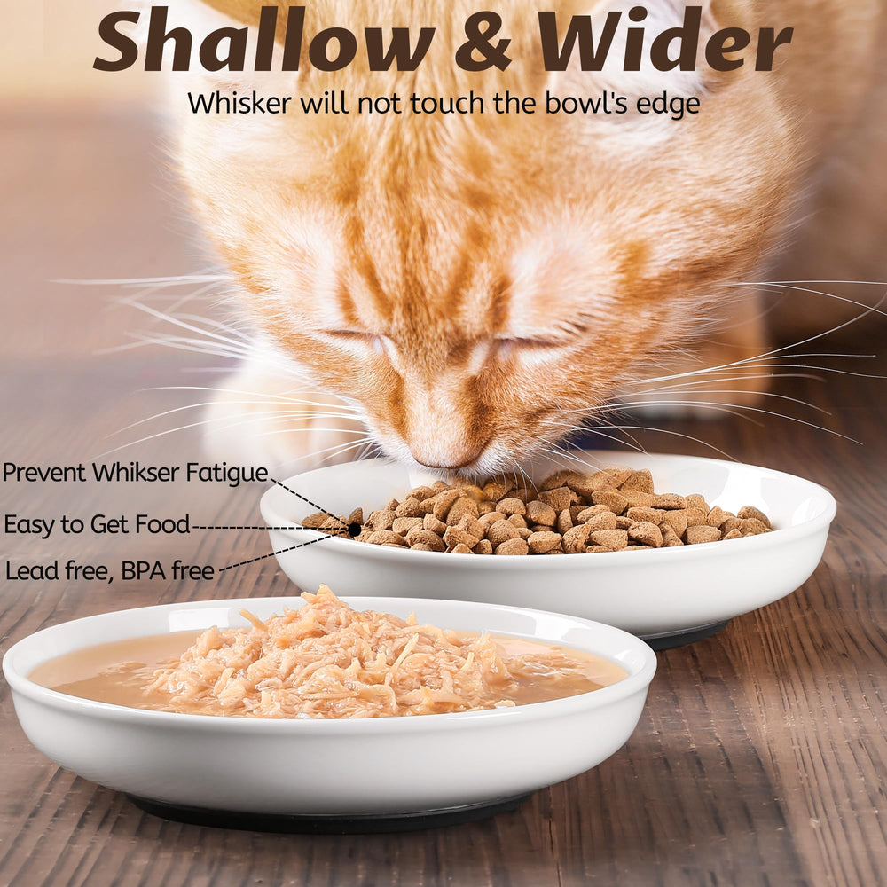 WROSWT bols en usage avec chat mangeant calmement sans renversements