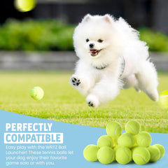 WRTZ balle en jeu avec un Corgi actif, favorise l'exercice et le rappel