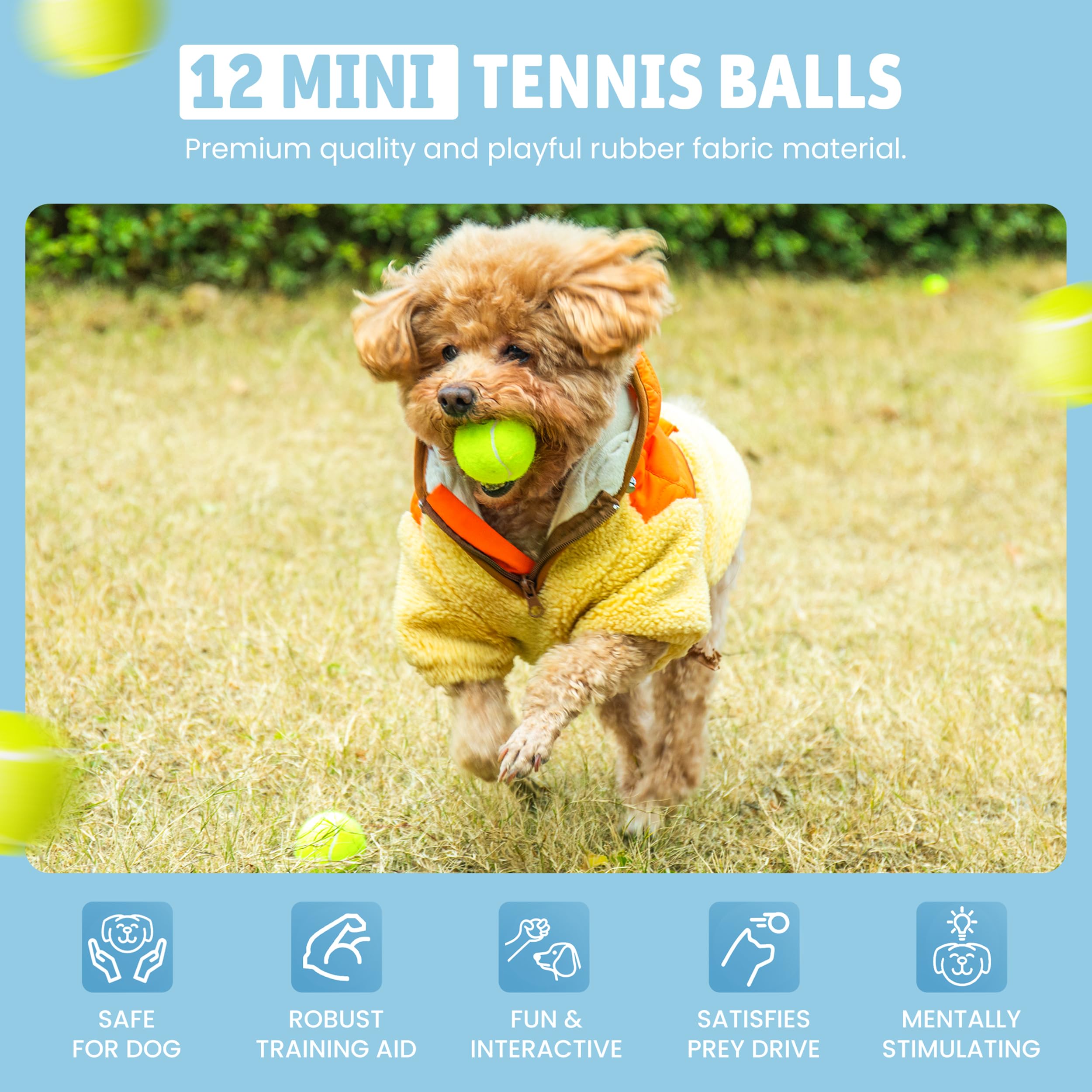 WRTZ pack ouvert dévoilant 12 balles, idéal pour multi-chiens et entraînement
