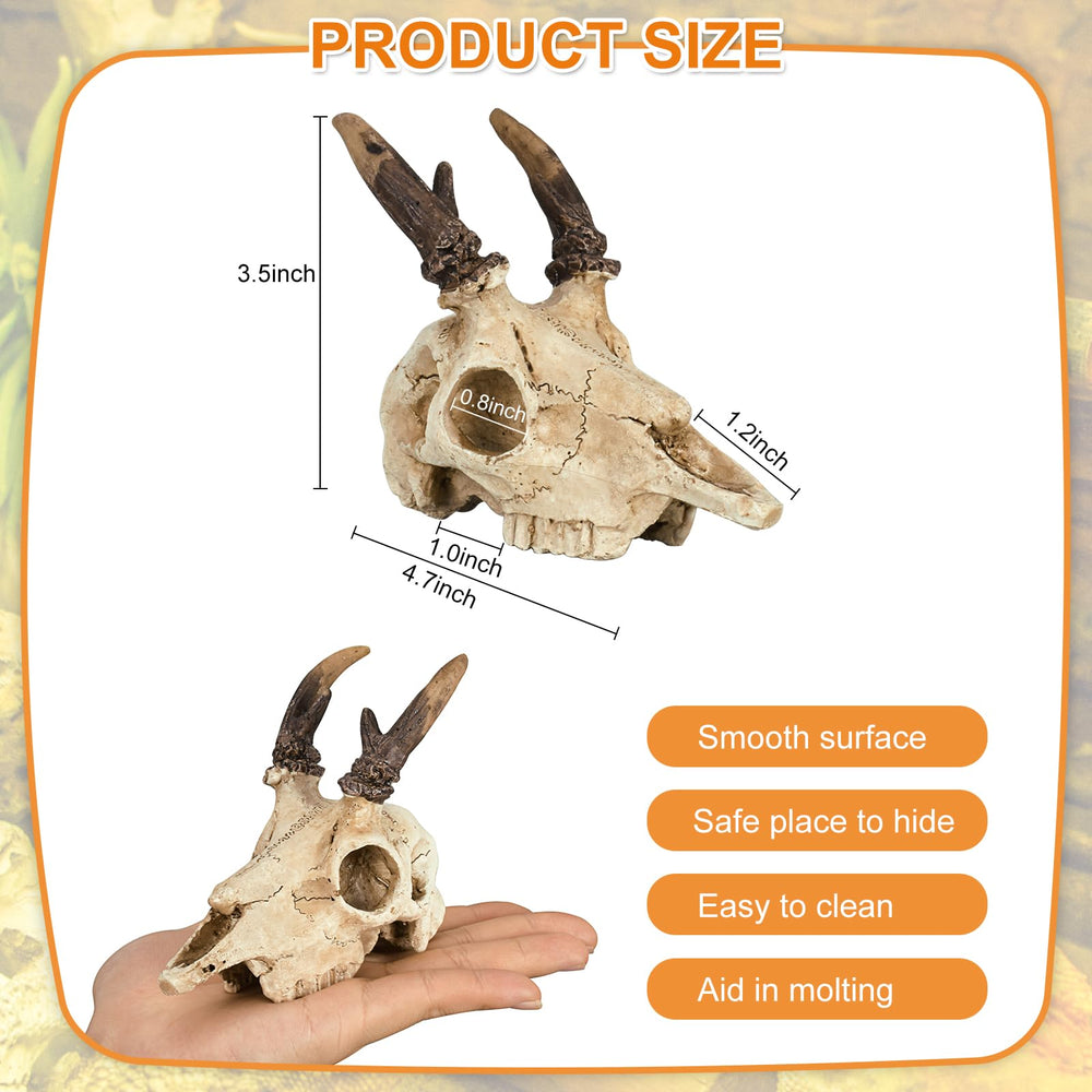 WTSOH crâne de cerf profil stable pour terrarium sûr