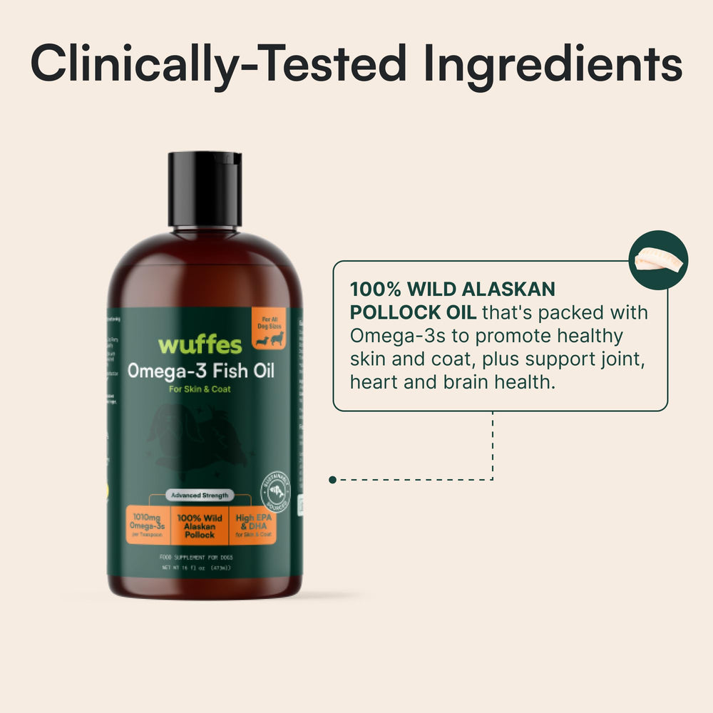 Wuffes huile versée par bec‑doseur pour un dosage précis et pratique