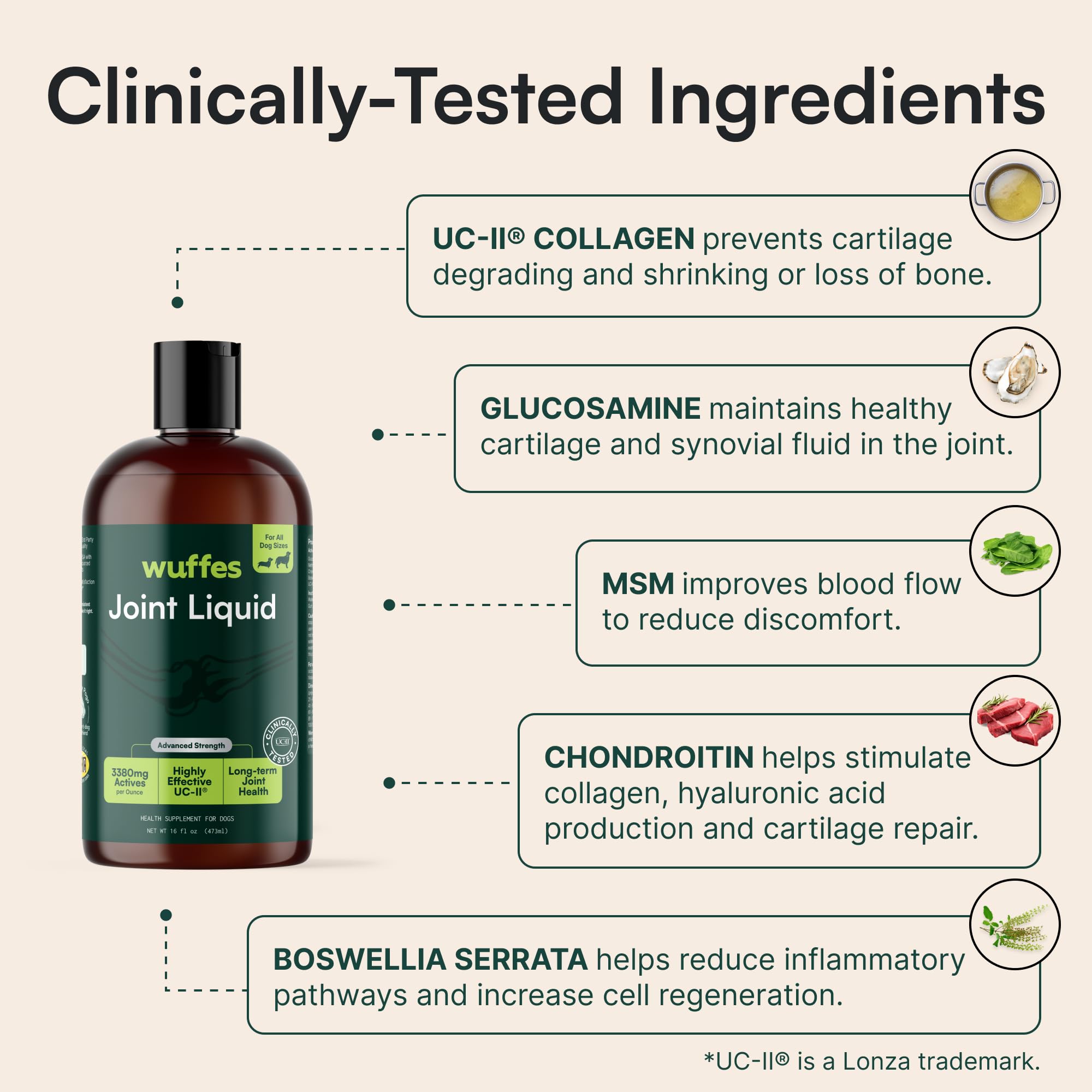 Wuffes bouteille tenue à la main démontrant échelle et portion recommandée