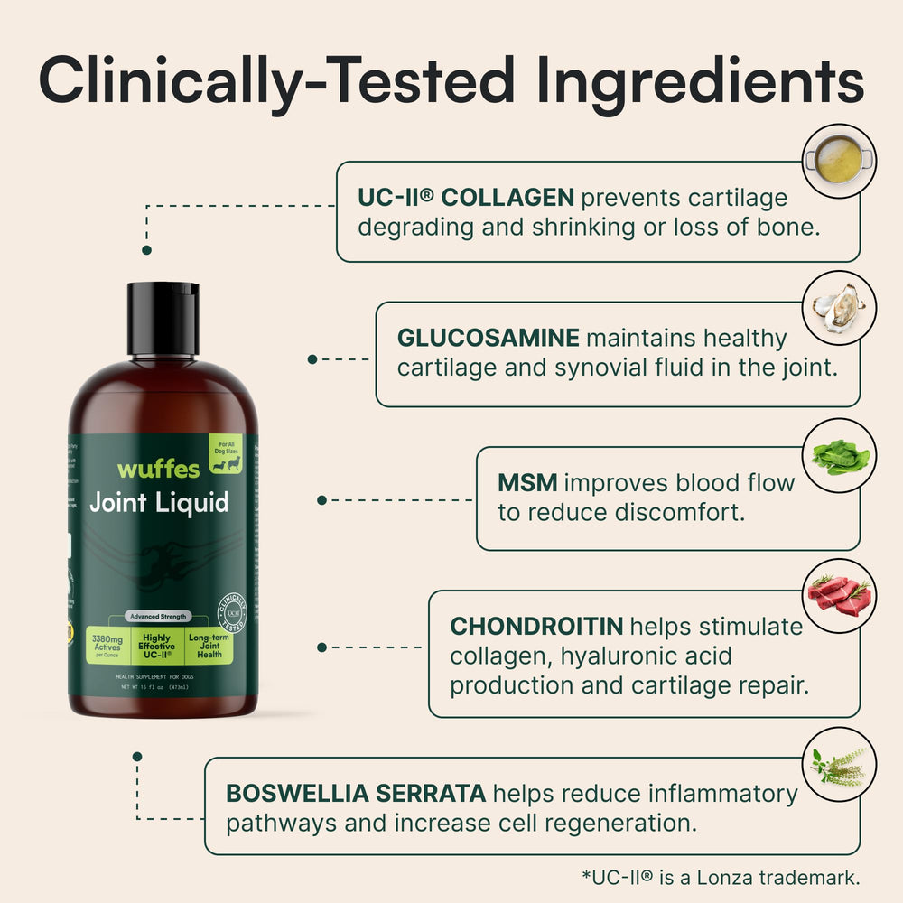 Wuffes bouteille tenue à la main démontrant échelle et portion recommandée