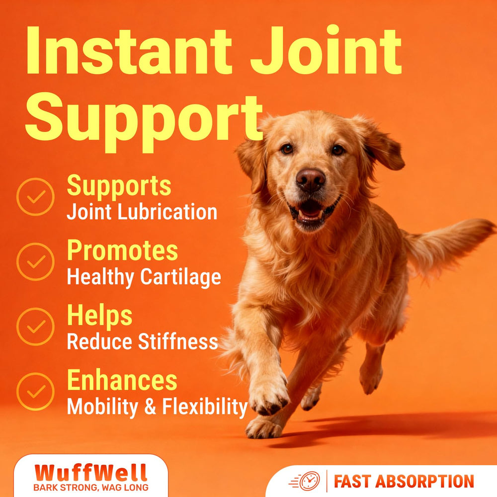 WuffWell gros plan étiquette indiquant dosage et ingrédients clés utiles