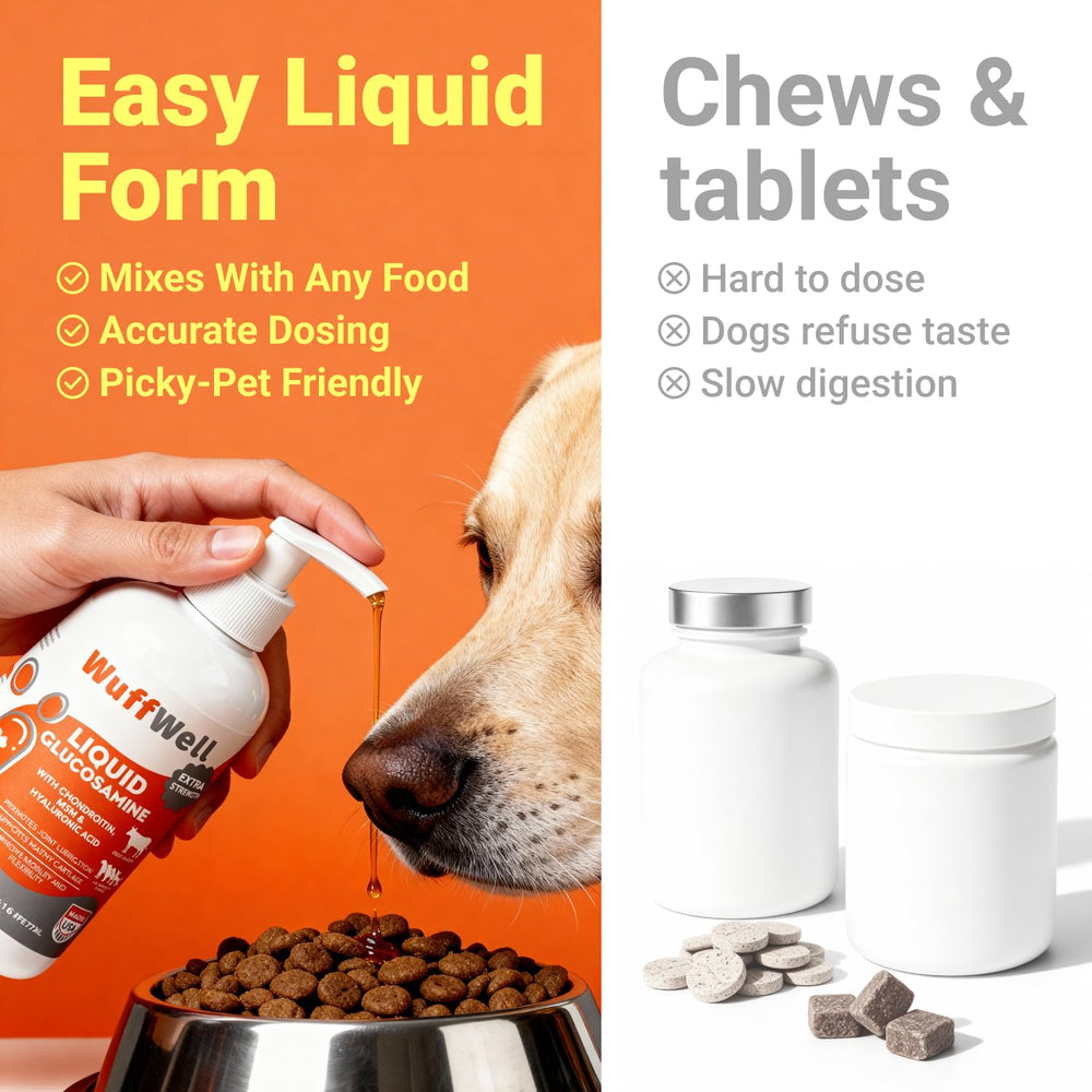 WuffWell produit ajouté à la gamelle montrant acceptation par le chien