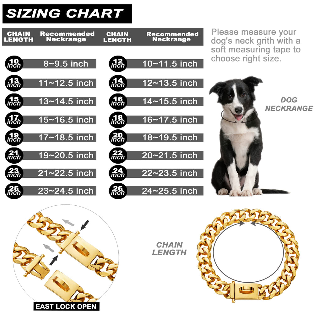 W/W Lifetime comparaison taille collier sur règle, guides de dimensionnement