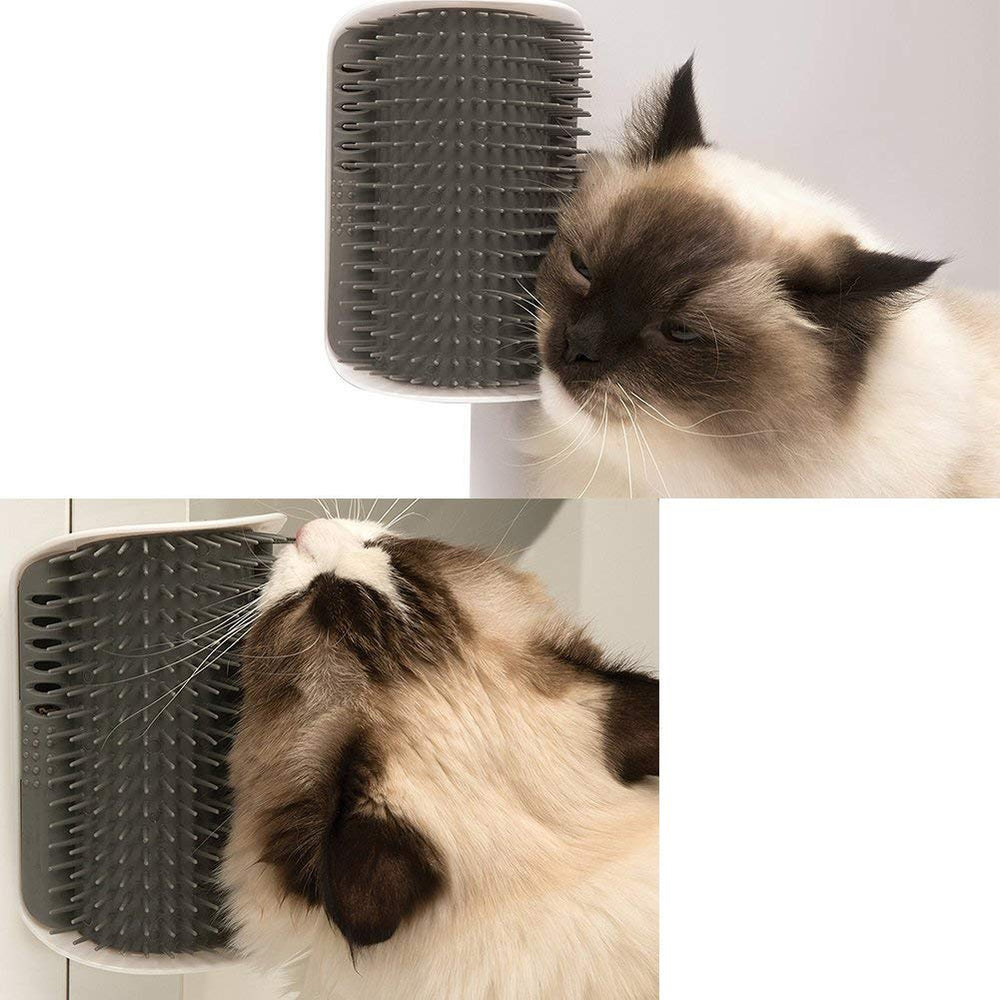 WWVVPET compartiment cataire ouvert pour attirer le chat vers le toilettage