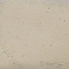 Wysong Dentatreat gros plan poudre montrant texture fromagère bénéfique