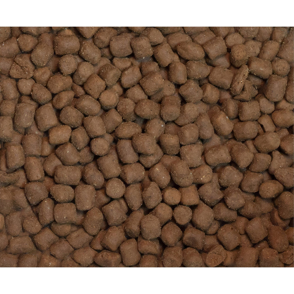Wysong Epigen 90 croquette dans la main pour évaluer taille et portion idéale