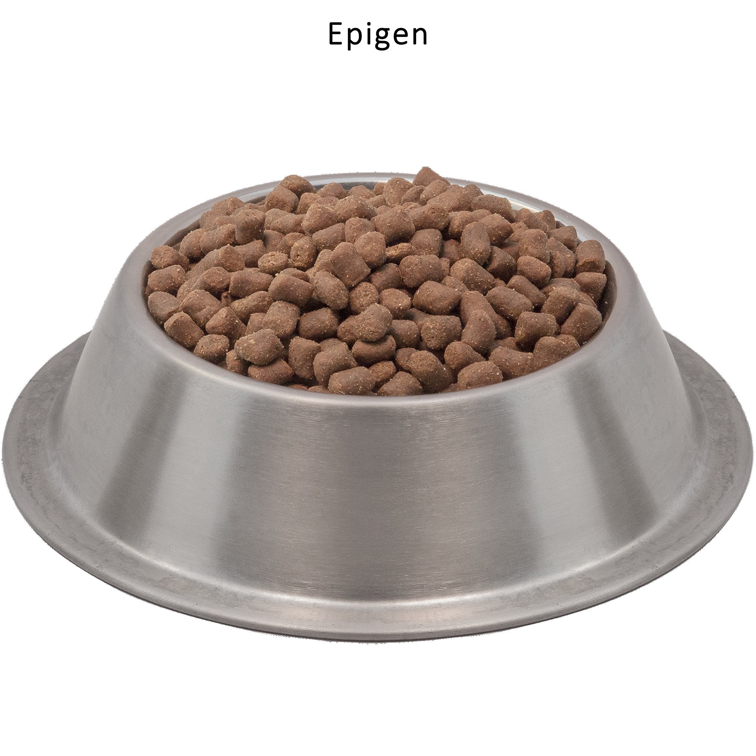 Wysong Epigen gros plan sur croquettes illustrant la texture et la haute teneur en viande