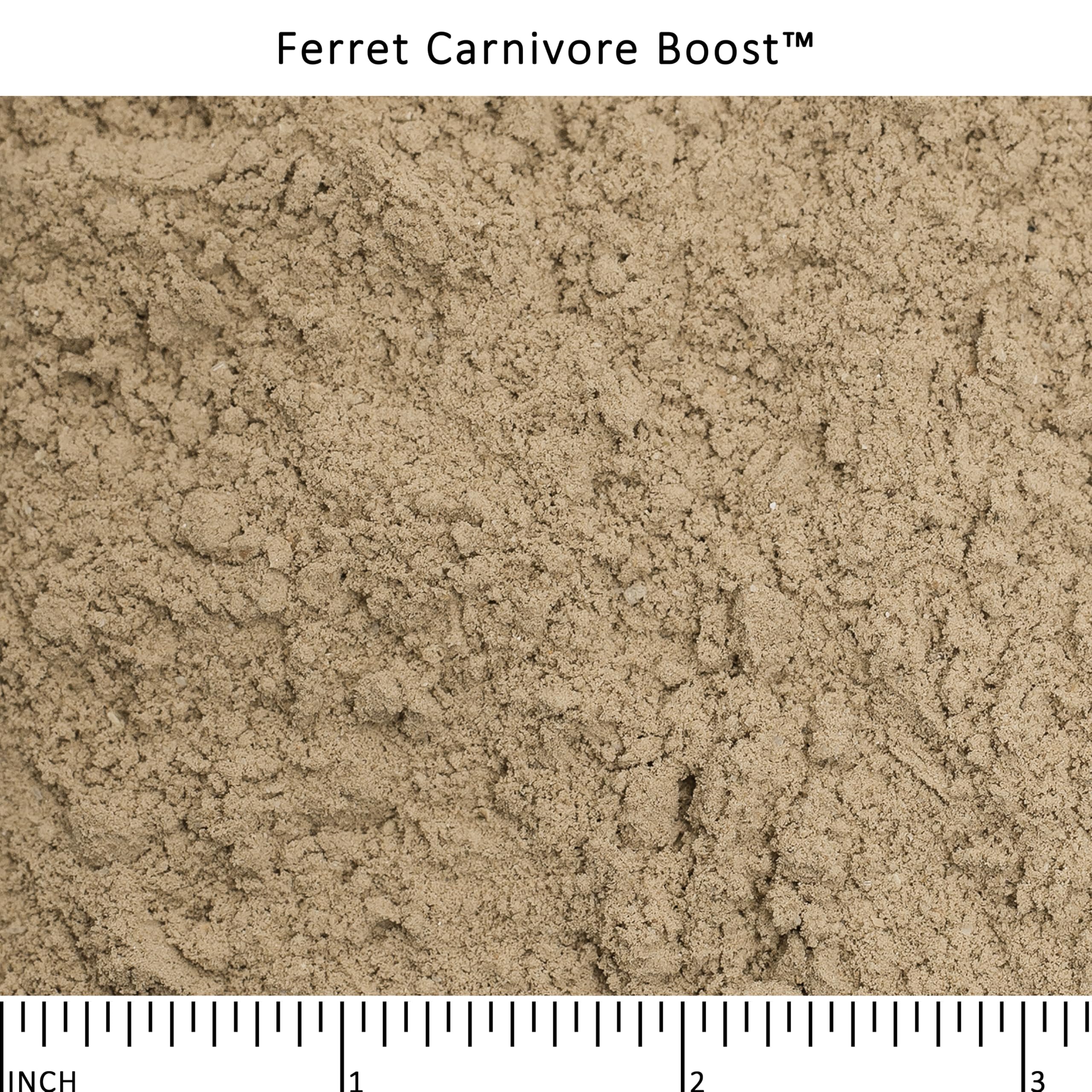 Wysong Ferret Carnivore Boost saupoudré sur gamelle pour stimuler appétit furet actif