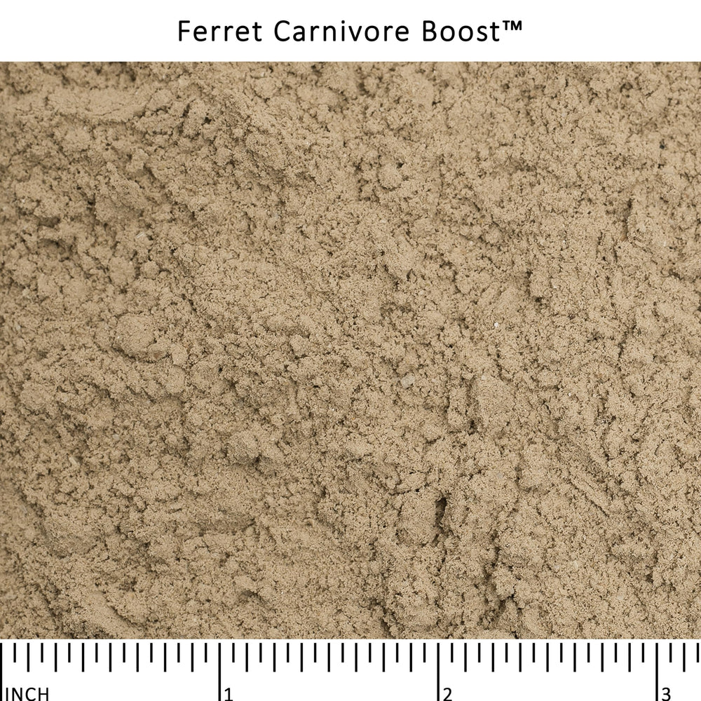 Wysong Ferret Carnivore Boost saupoudré sur gamelle pour stimuler appétit furet actif
