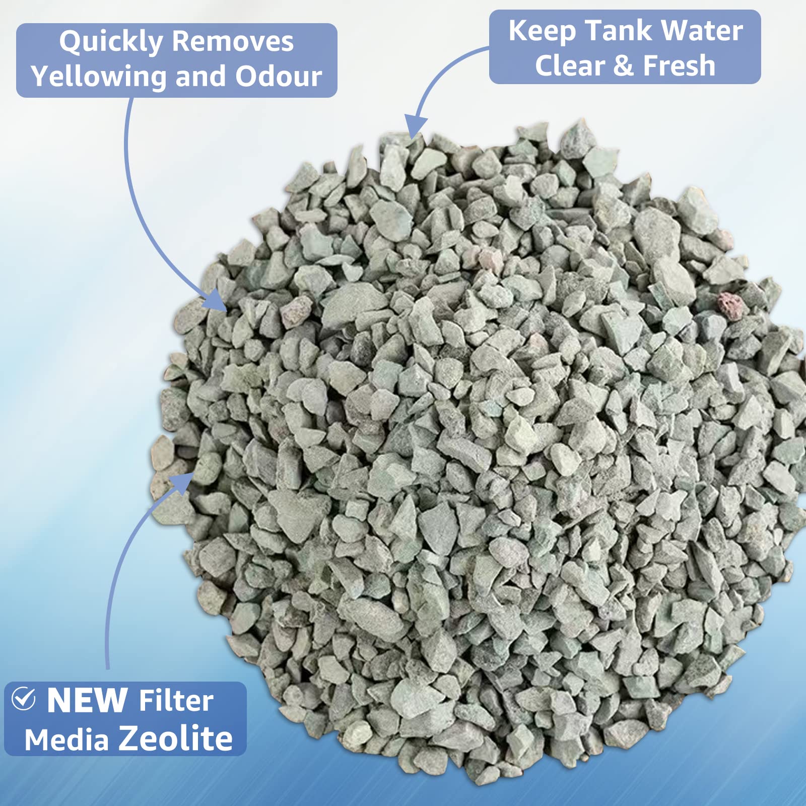 xbbwmrs comparaison taille à un aquarium 5–10 gallons illustre ajustement