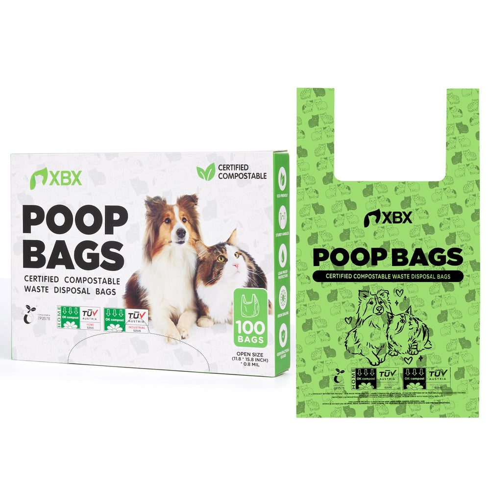 XBX sac placé dans une cuisine verte, bénéfice esthétique écoresponsable