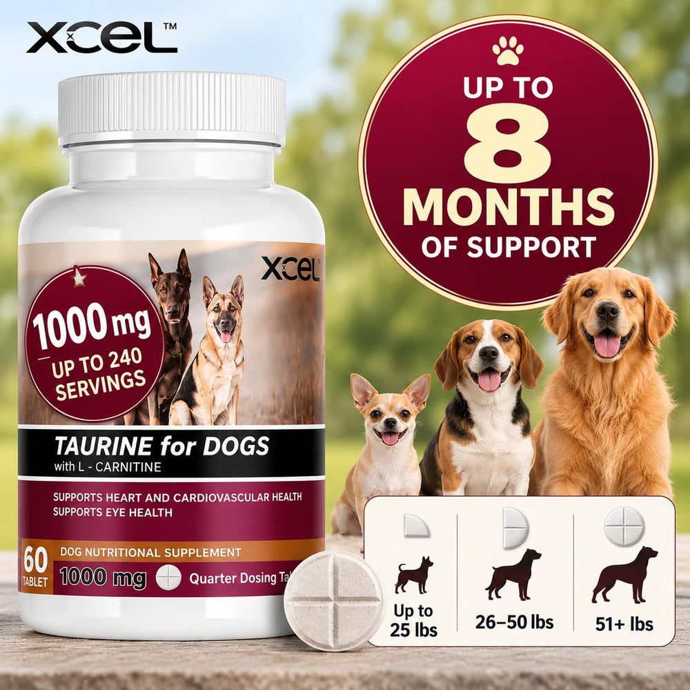 XCEL comprimé coupé en quatre montrant les portions de 250 mg