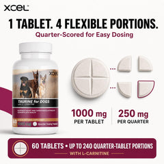 XCEL gros plan sur comprimé quartillé pour dosage précis
