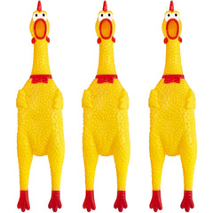 Xeehwb poulet vue face montrant forme et couleur, attire l’attention