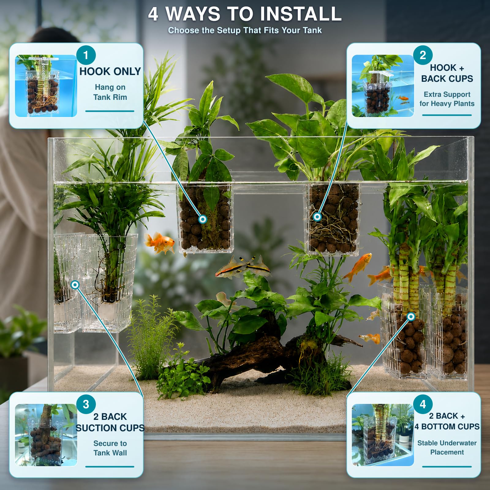 Xenhrun en usage sur nano aquarium montrant espace de nage conservé